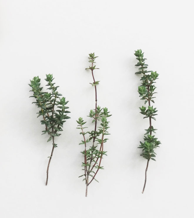 shop-product-01_small01