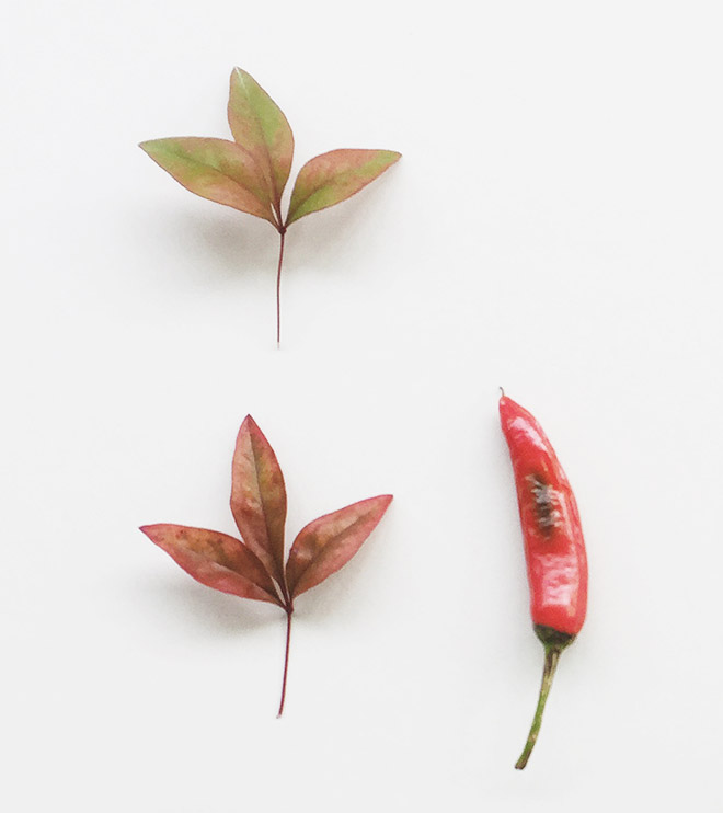 Spices and Leafs - Details 02